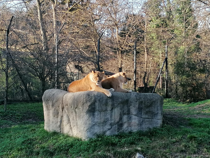 Zoološki vrt grada Zagreba